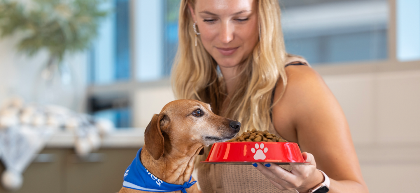 77 of Canadian pet owners would forgo their own meals rather than risk their pets going hungry PetSmart Charities